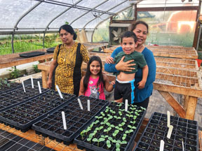 Incubator farm project participant in greenhouse