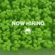 Green Now Hiring Graphic